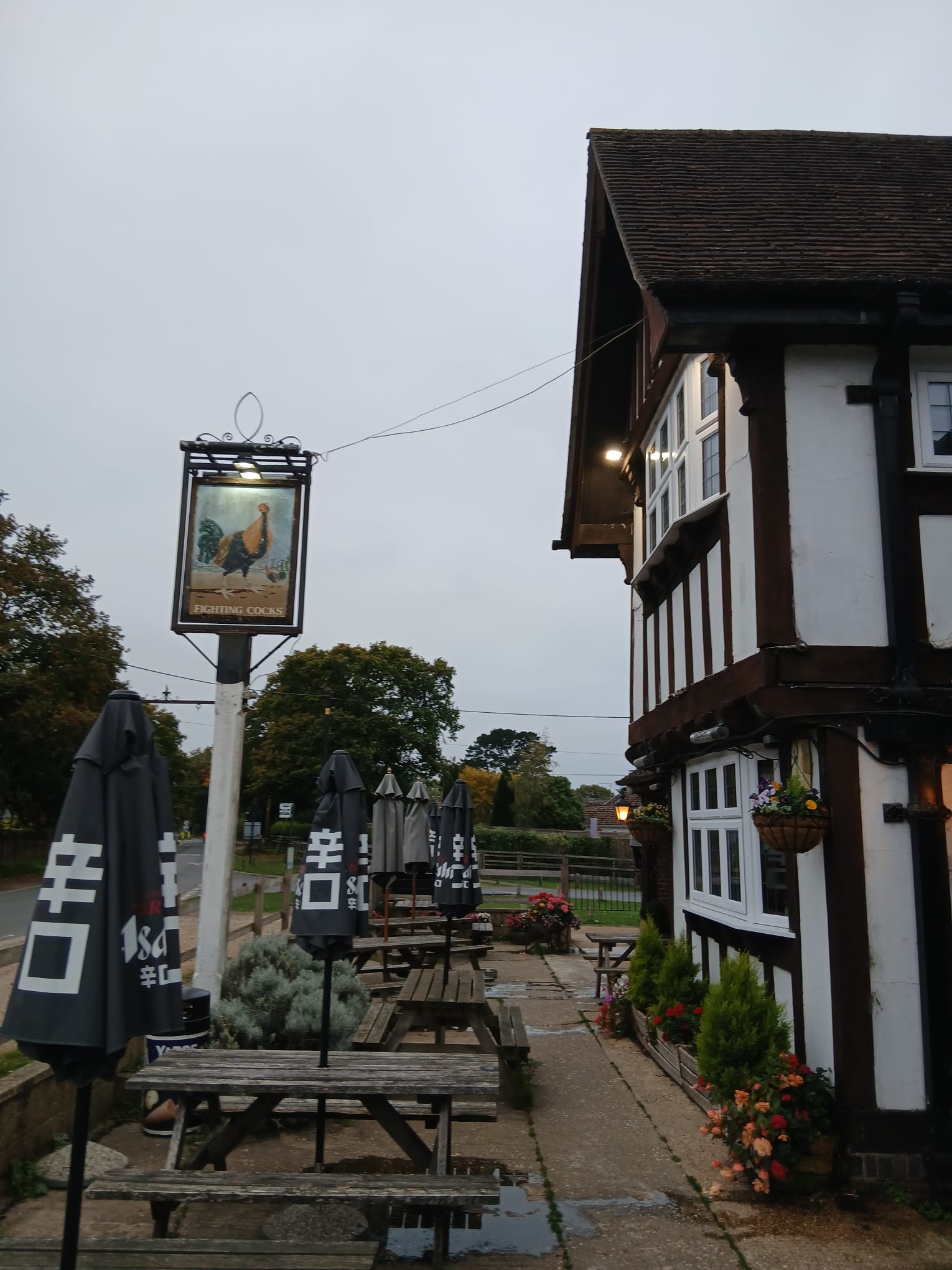 The Fighting Cocks Pub