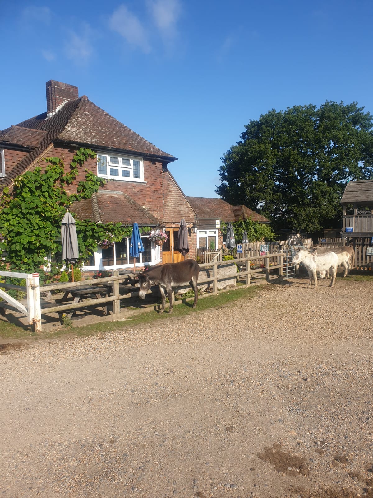 The Fighting Cocks Pub