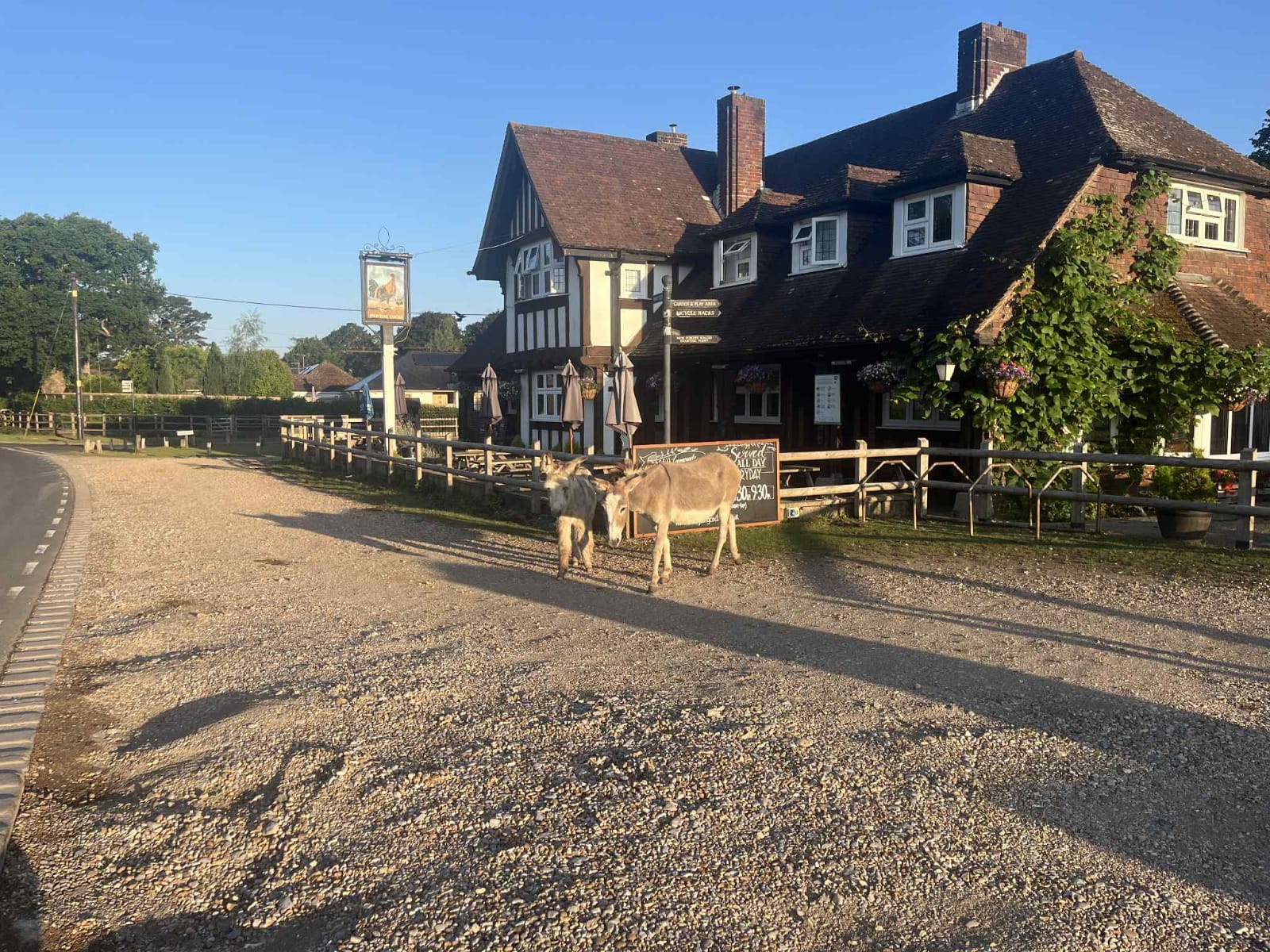 The Fighting Cocks Pub